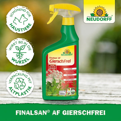 Finalsan AF GierschFrei