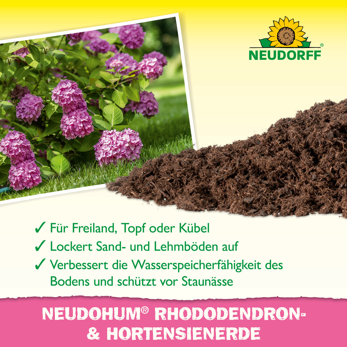 Blumenrede für Hortensien im Freiland, Topf oder Kübel