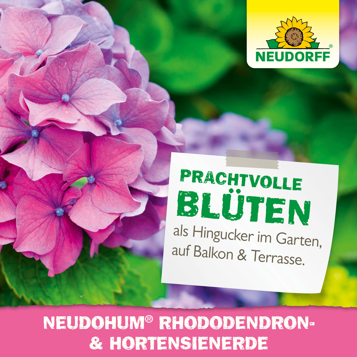 Neudo­Hum Rhododendron & Hortensien Erde von Neudorff - die torffreie Erde für Moorbeetpflanzen
