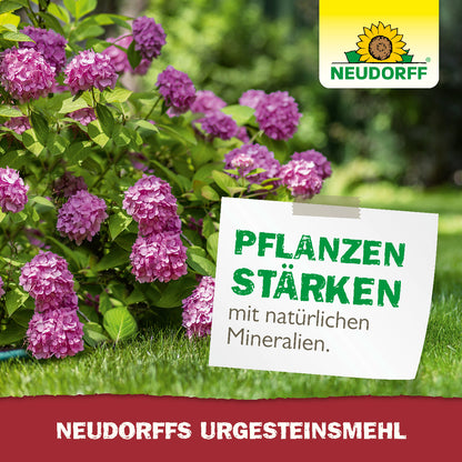 Rhododendronbusch vor dem ein Aufkleber zu sehen ist mit dem Hinweis: Pflanzen stärken mit natürlichen Mineralien