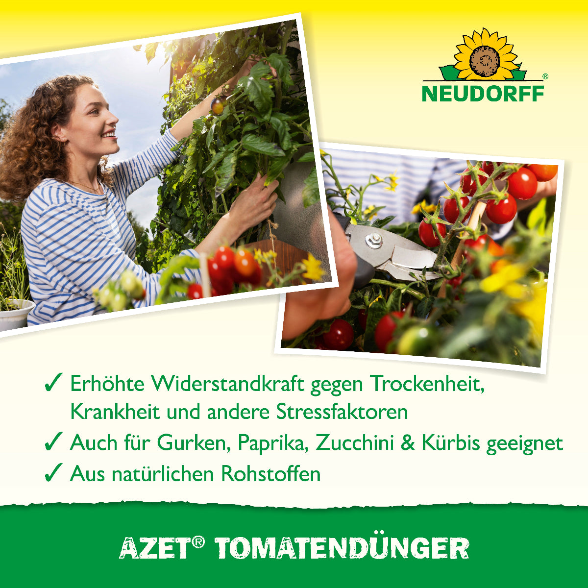 Zwei Bilder mit Tomaten sowie Fakten zu Azet TomatenDünger von Neudorff wie erhöhte Widerstandskraft gegen Trockenheit, Krankheit und andere Stressfaktoren