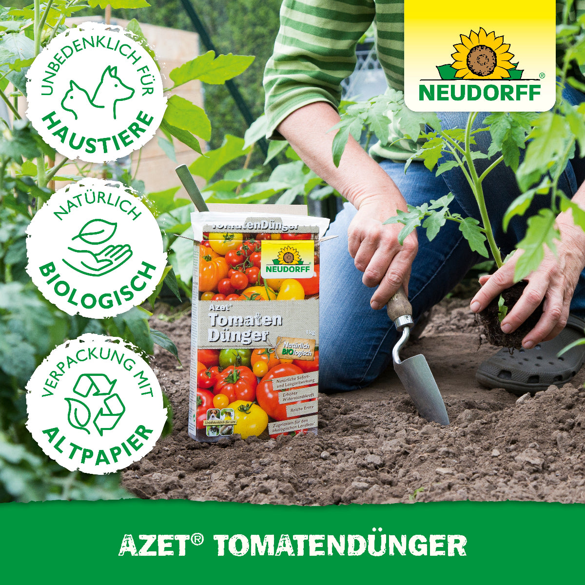 Produkt Azet TomatenDünger beim Einsatz im Garten sowie 3 Buttons mit der Aufschrift unbedenklich für Haustiere, natürlich biologisch und Verpackung aus Altpapier
