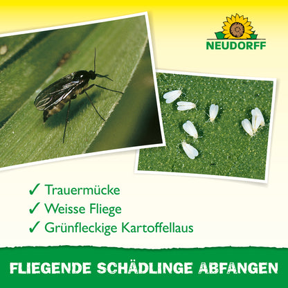 Kleine schwarze Fliegen abfangen mit Gelbstickern