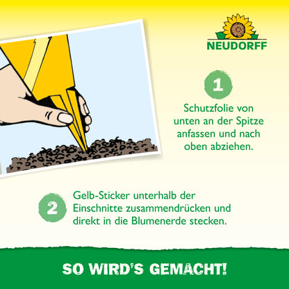 Gelbsticker - schnelle Hilfe gegen kleine schwarze Fliegen