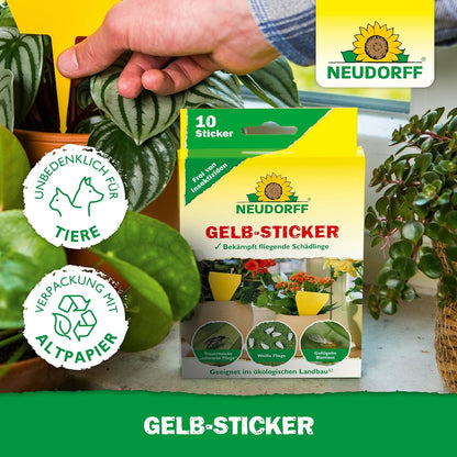 Gelbsticker zur Bekämpfung von Trauermücken