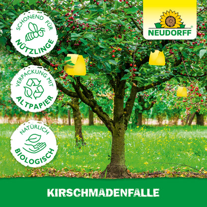 KirschmadenFalle