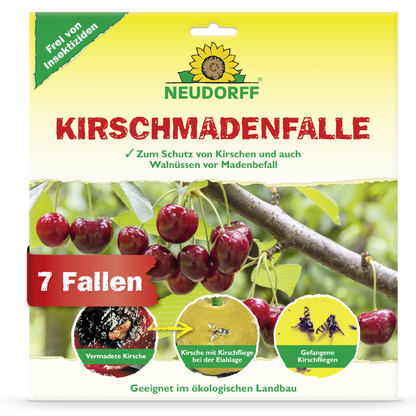KirschmadenFalle
