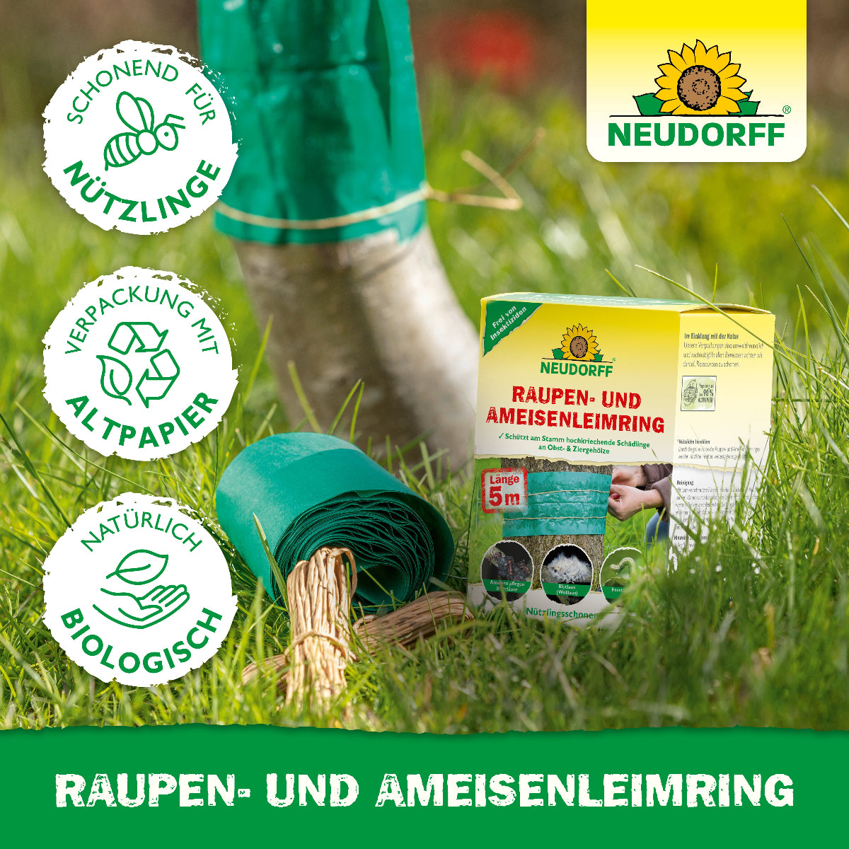 Mit dem Raupen- und AmeisenLeimring von Neudorff bekämpfst du Schädlinge wie Ameisen oder Raupen an Obstbäumen effektiv und schonend für Nützlinge. 