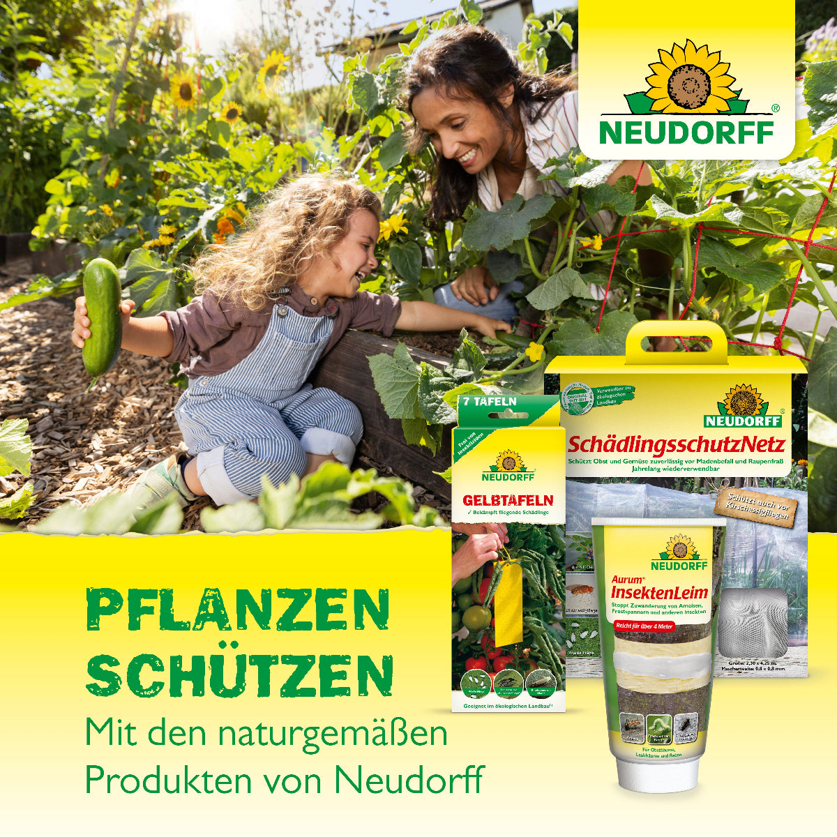Pflanzen schützen mit den naturgemäßen Produkten von Neudorf wie dem Schädlingsschutznetz oder dem Raupen- und Ameisenleimring