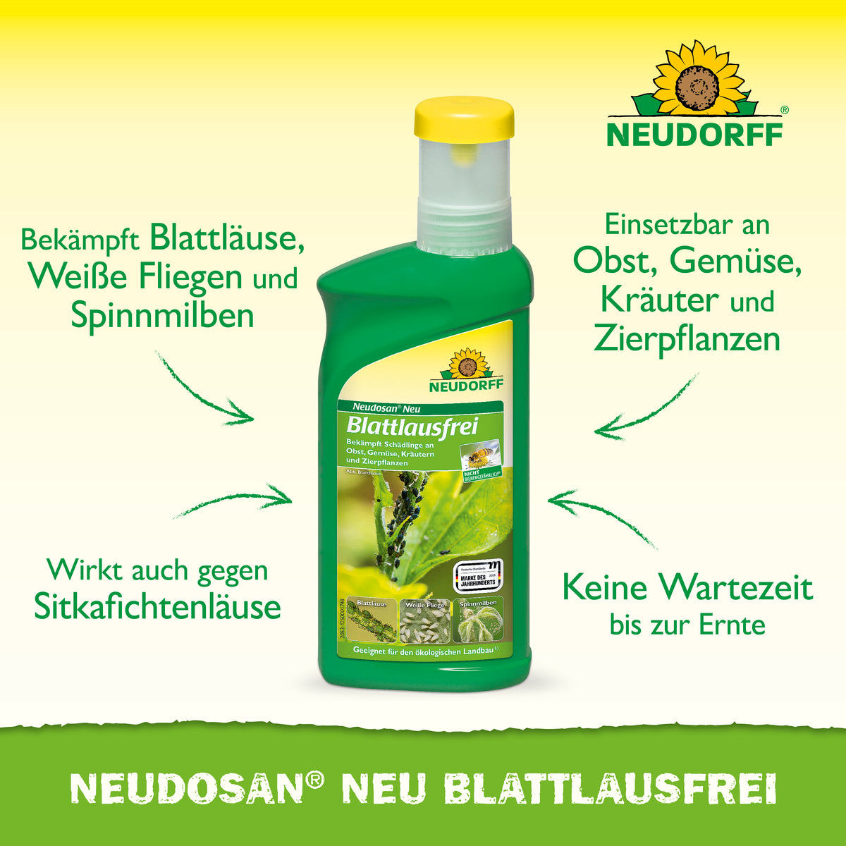 Neudosan Neu Blattlausfrei von Neudorff ist ein effektives Mittel gegen Blattläuse, weiße Fliegen und Spinnmilben an Pflanzen, Kräutern und Gemüse