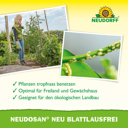 Neudosan Neu Blattlausfrei von Neudorff ist ein sehr ergiebiges Konzentrat mit natürlichen Salzes, das Blattläuse, weiße Fliegen und Spinnmilben effektiv bekämpft