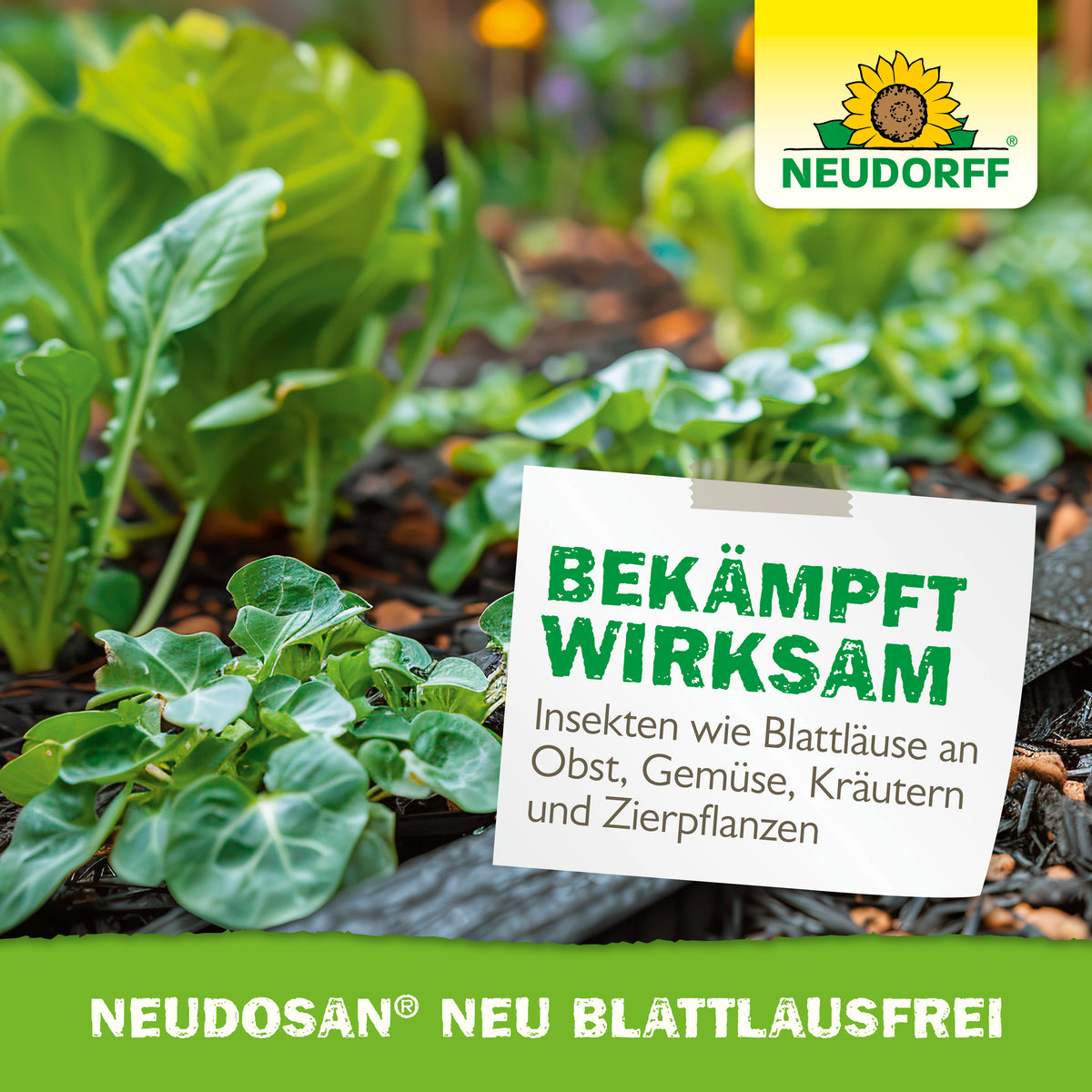 Neudosan Neu Blattlausfrei von Neudorff bekämpft wirksam Insekten wie Blattläuse an Obst, Gemüse, Kräutern und Zierpflanzen