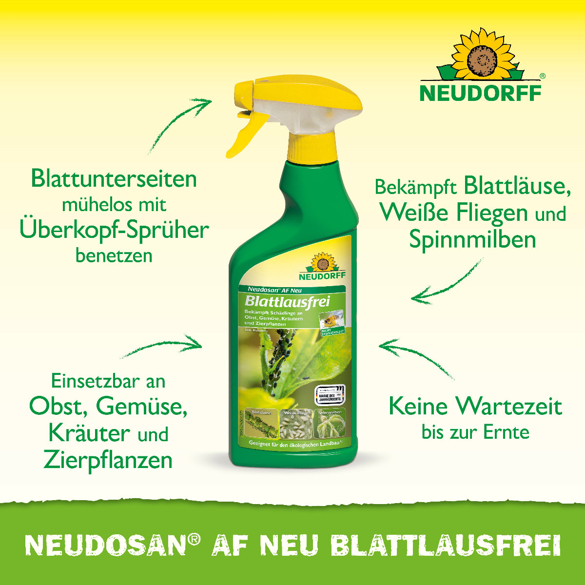 Neudosan AF Neu Blattlausfrei von Neudorff ist ein anwendungsfertiges, effektives Mittel gegen Blattläuse, Weiße Fliege und Spinnmilben
