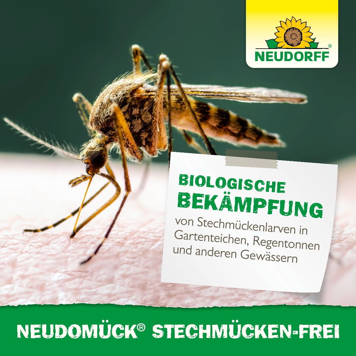 Neudomück StechmückenFrei von Neudorff ist laut Abbildung für die biologische Bekämpfung von Stechmückenlarven in Gartenteichen