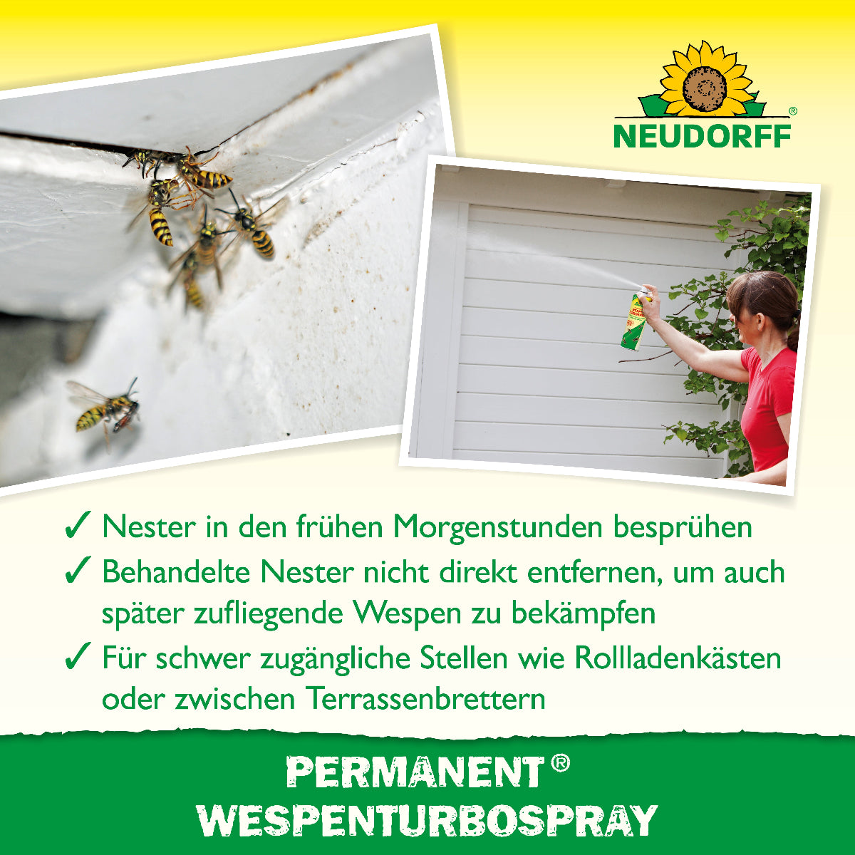 Wespen an Hauswand und Frau beim Besprühen eines Wespennests mit Anwendungshinweisen zur frühen Behandlung, verzögerter Nestentfernung und schwer zugänglichen Stellen