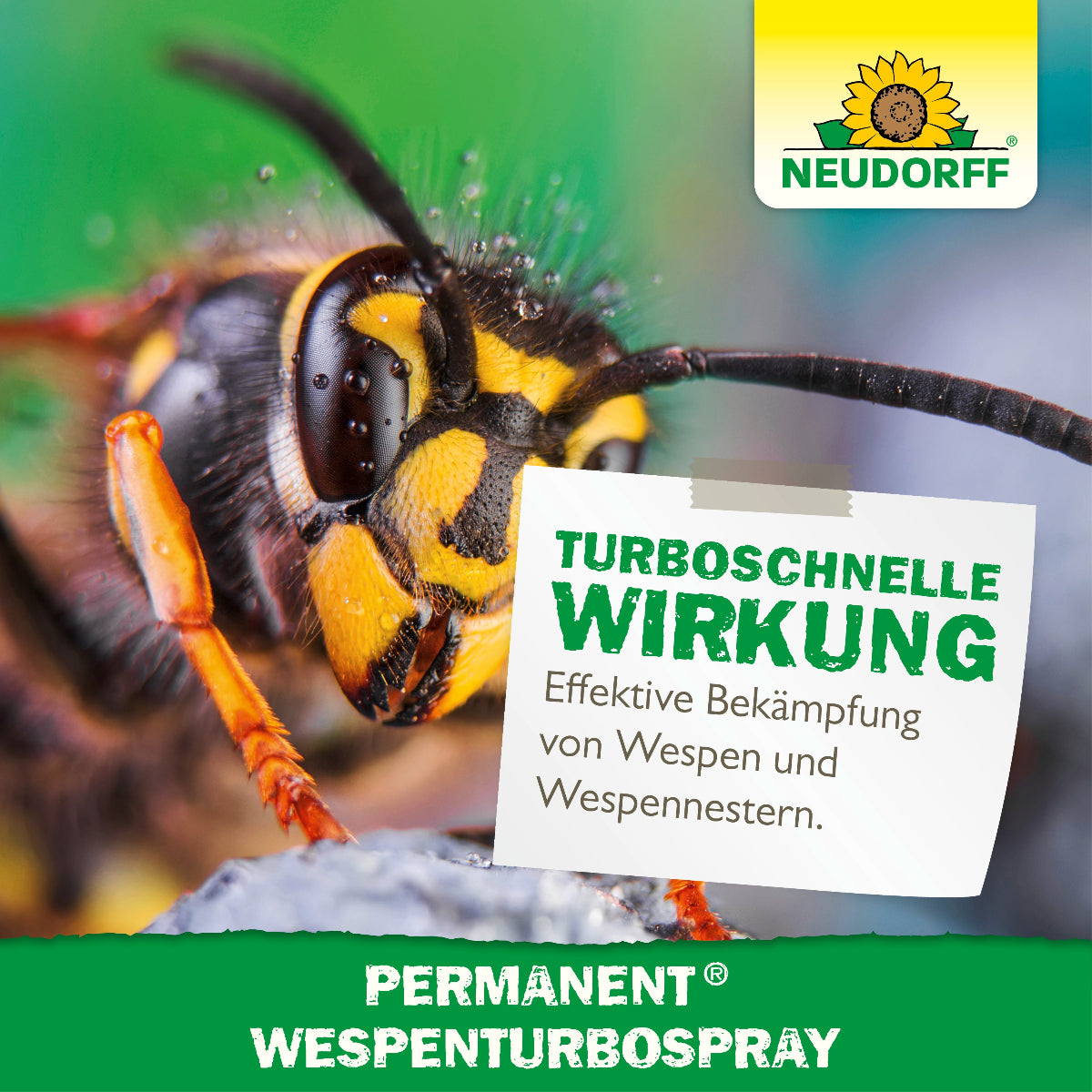  Permanent WespenTurbospray von Neudorff hat laut Aussage neben einer abgebildeten Wespe eine turboschnelle Wirkung und ist zur effektiven Bekämpfung von Wespen und Wespennestern