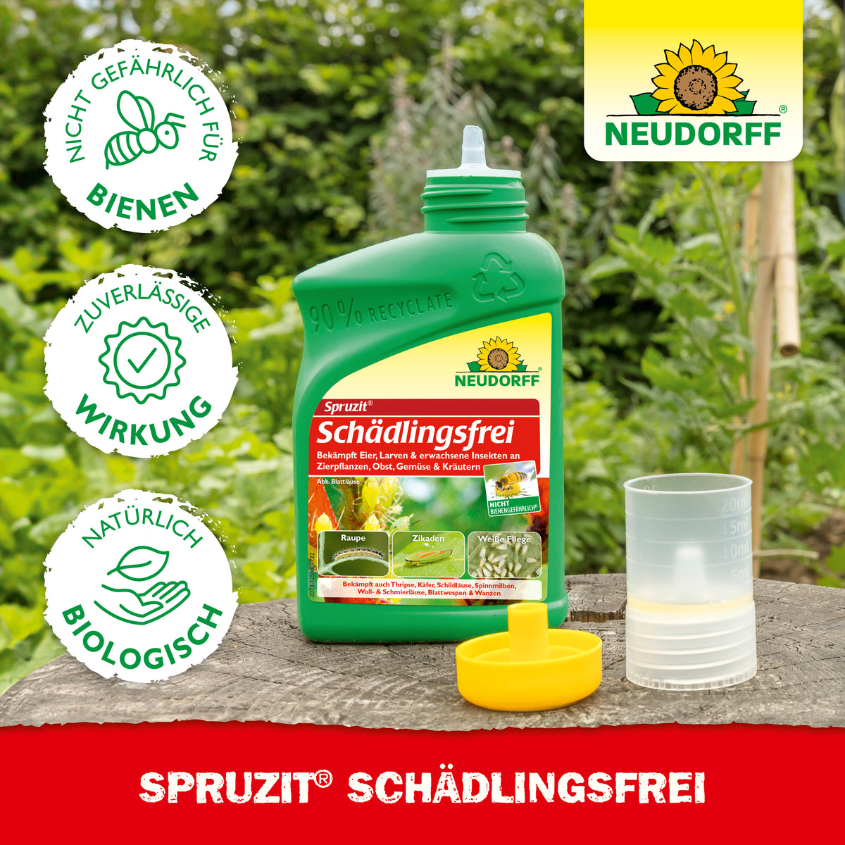 Spruzit Schädlingsfrei von Neudorff zur zuverlässigen Bekämpfung von  Blattläusen, Buchsbaumzünslern und Thripsen in allen Stadien – natürlich biologisch