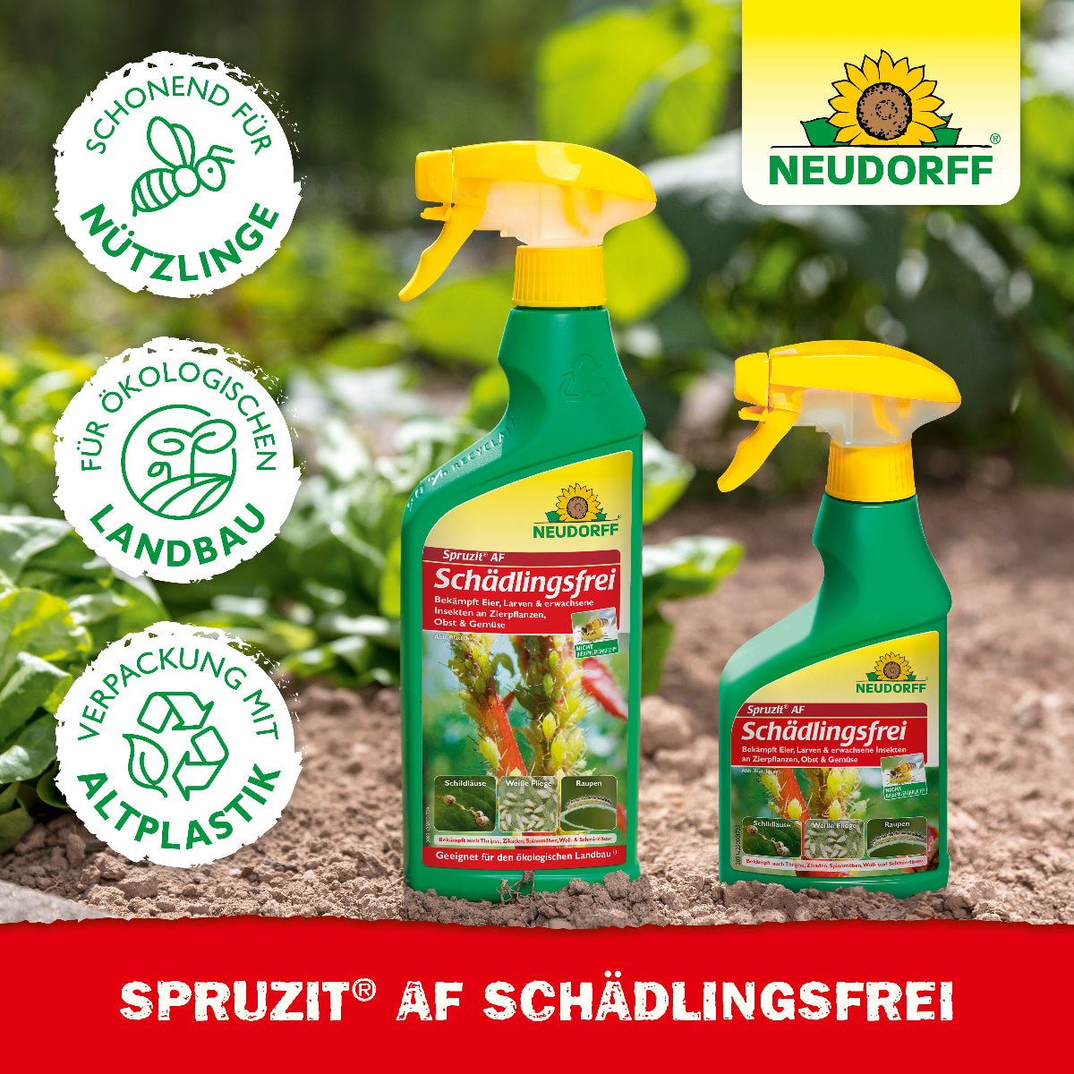 Spruzit AF Schädlingsfrei von Neudorff ist stark gegen Läuse, Spinnmilben, Buchsbaumzünsler und Käfer und gleichzeitig schonend für Nützlinge und den ökologischen Anbau geeignet