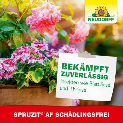 Du willst Blattläuse, Thripse oder Weiße Fliegen an Obst, Gemüse und Zierpflanzen loswerden? Spruzit AF Schädlingsfrei bekämpft Schadinsekten wirksam und ist zeitgleich schonend für Nützlingen