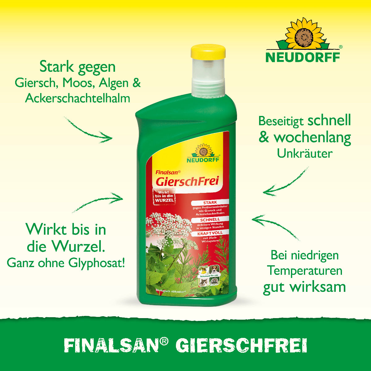 Finalsan GierschFrei von Neudorff ist stark gegen Giersch, Moos, Algen & Ackerschachtelhalm