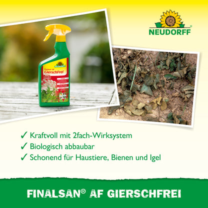 Finalsan AF GierschFrei