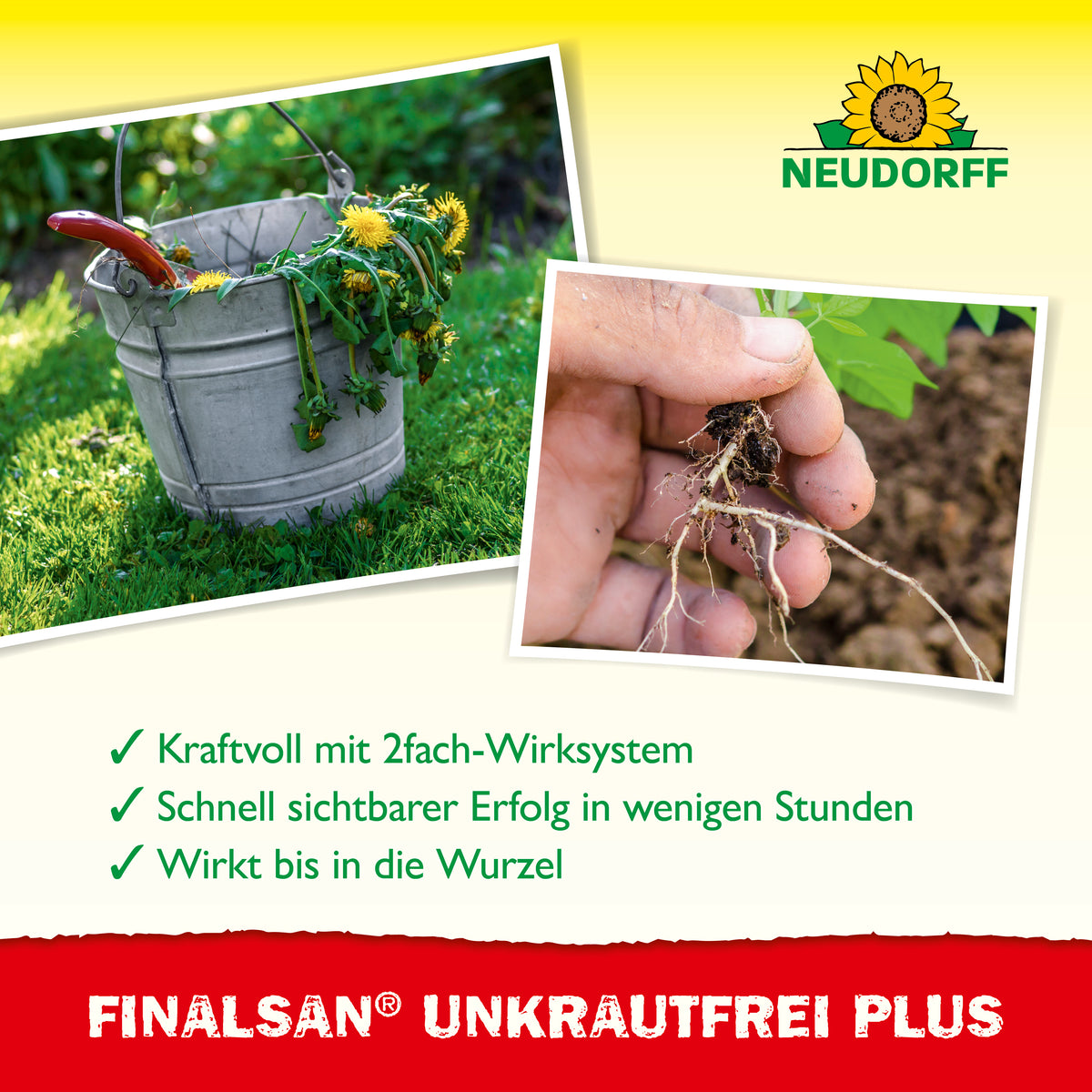 Zwei Bilder mit UNkraut und darunter USPs des Produktes Finalsan Unkrautfrei Plus wie kraftvoll mit 2fach-Wirksystem oder schnell sichtbarer Erfolg in wenigen Stunden