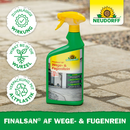 Finalsan AF Wege- & FugenRein