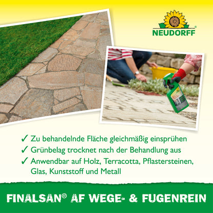 Finalsan AF Wege- & FugenRein
