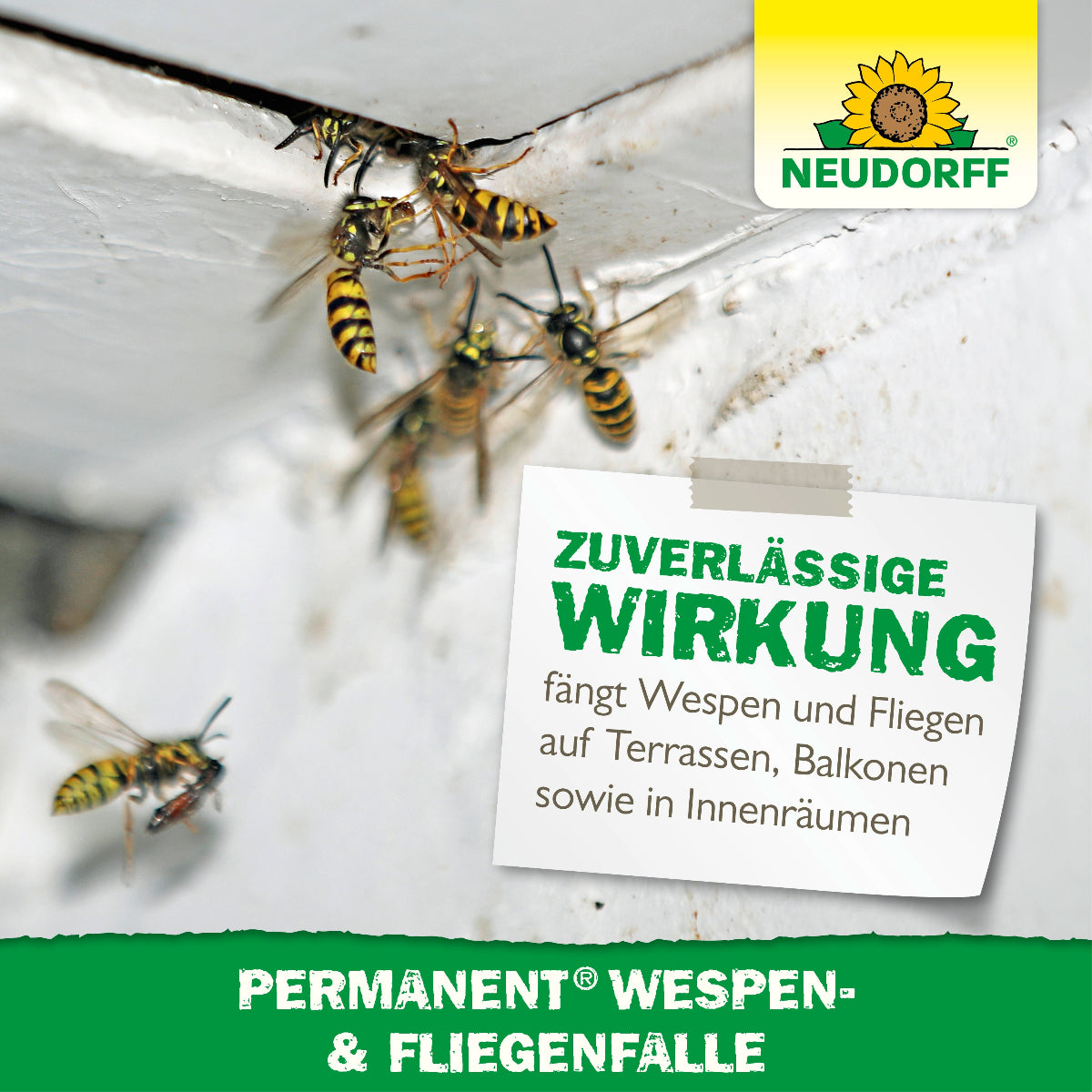 ermanent Wespenfalle von Neudorff mit zuverlässiger Wirkung gegen Wespen