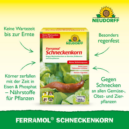 Besonders regenfestes Schneckenkorn zur Bekämpfung von Schnecken an Gemüse-, Obst- und Zierpflanzen, dessen Körner sich mit der Zeit in pflanzenverfügbare Nährstoffe umwandeln