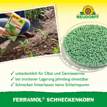 Ferramol Schneckenkorn wird gleichmäßig im Beet ausgebracht und ermöglicht eine unbedenkliche Obst- und Gemüseernte, sowie eine Schneckenbekämpfung ohne Schleimspuren