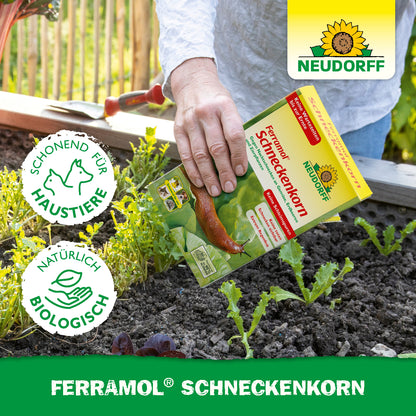 Das natürlich biologische Ferramol Schneckenkorn zur wirksamen Schneckenbekämpfung im Garten ist die effektive Lösung gegen Nacktschnecken im Beet und zudem schonend für Haustiere
