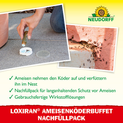 Loxiran Ameisenköderbuffet Nachfüllpack