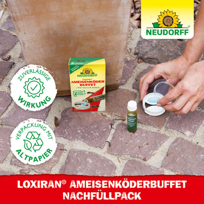 Loxiran Ameisenköderbuffet Nachfüllpack