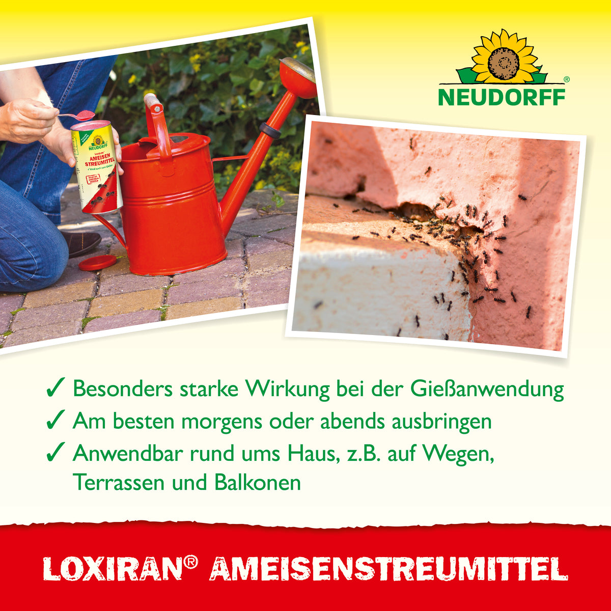 Loxiran Ameisen­Streumittel zur effektiven Bekämpfung von Ameisen auf Wegen, Terrassen oder dem Balkon