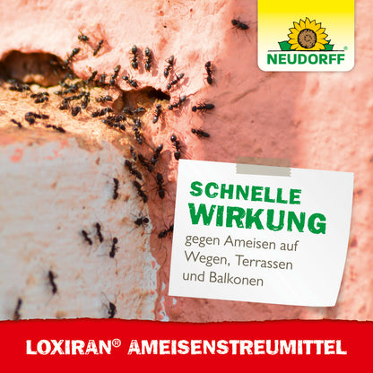 Du willst Ameisen auf dem Balkon, der Terrasse oder auf den Gehwegen loswerden? Dann greife zu Loxiran Ameisen­Streumittel!