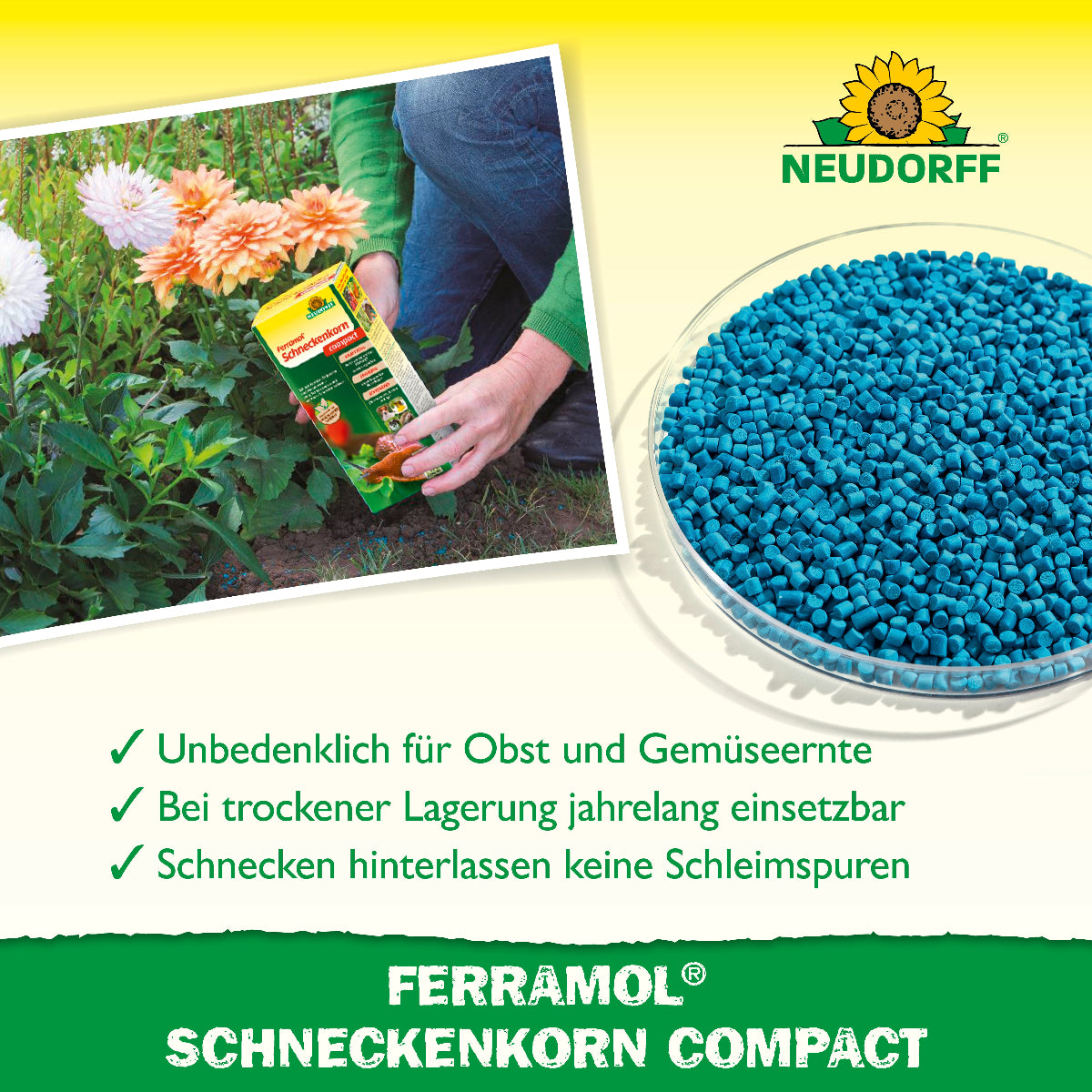 Ferramol Schneckenkorn Compact wird gleichmäßig im Beet ausgebracht und ermöglicht eine unbedenkliche Obst- und Gemüseernte, sowie eine Schneckenbekämpfung ohne Schleimspuren