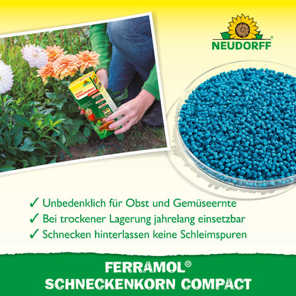 Ferramol Schneckenkorn Compact wird gleichmäßig im Beet ausgebracht und ermöglicht eine unbedenkliche Obst- und Gemüseernte, sowie eine Schneckenbekämpfung ohne Schleimspuren