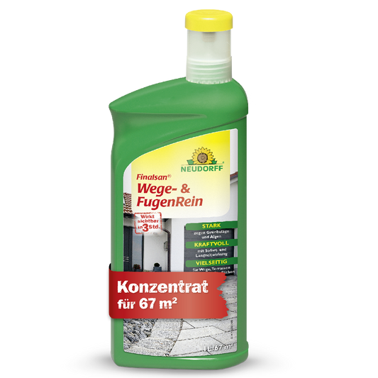 Finalsan Wege- & FugenRein
