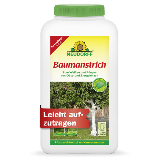 Baumanstrich