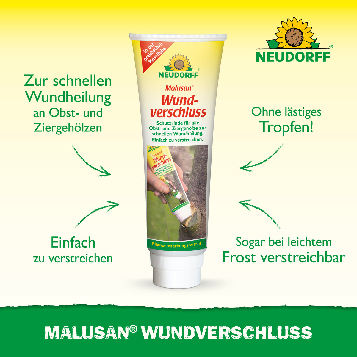 MALUSAN Wundverschluss: zur schnellen Wundheilung an Obst- und Ziergehölzen