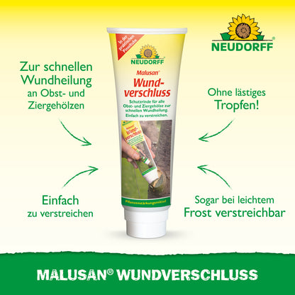 MALUSAN Wundverschluss: zur schnellen Wundheilung an Obst- und Ziergehölzen