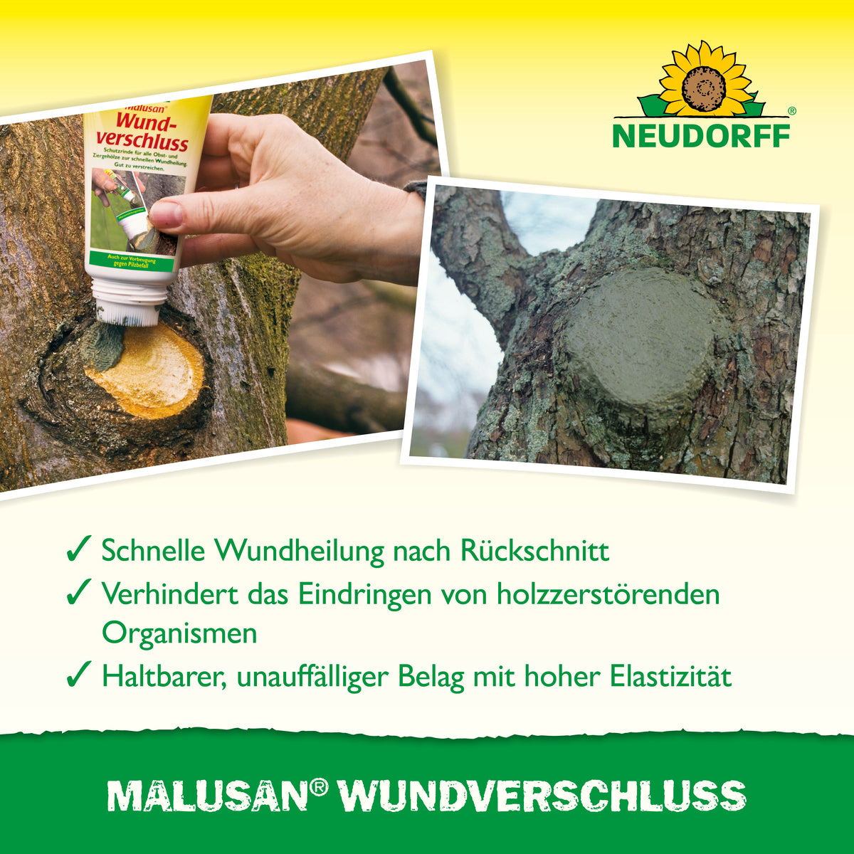 MALUSAN Wundverschluss für eine schnelle Wundheilung nach Rückschnitt und Verhinderung des Eindringens von holzzerstörenden Organismen