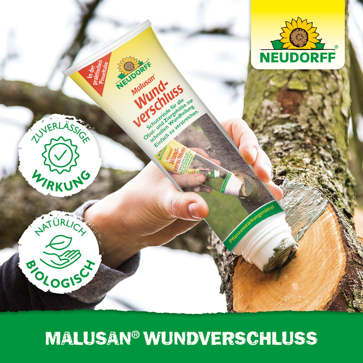 MALUSAN Wundverschluss schützt Schnittstellen am Baum zuverlässig und natürlich biologisch
