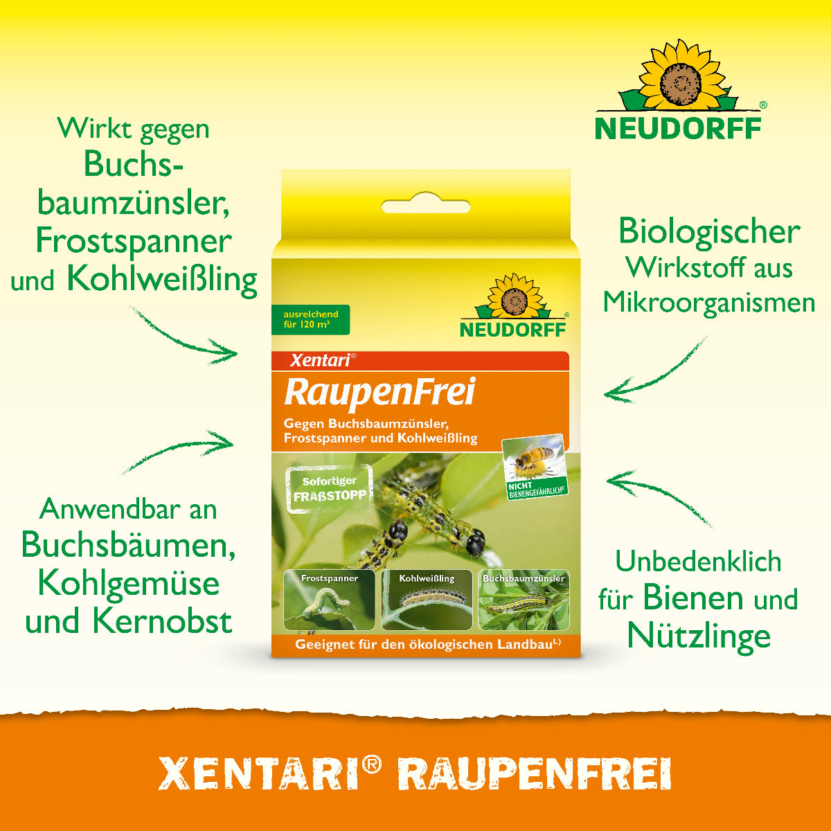 Xentari Raupenfrei von Neudorff mit einem biologischen Wirkstoff aus Mikroorganismen wirkt gegen Buchsbaumzünsler, Frostspanner und Kohlweißling an Buchsbäumen, Kohlgemüse und Kernobst und ist gleichzeitig unbedenklich für Bienen und Nützlinge