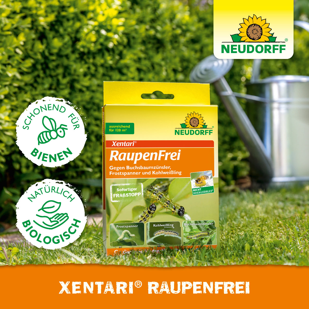 Xentari Raupenfrei von Neudorff mit sofortigem Fraßstopp wirkt gegen Buchsbaumzünsler, Frostspanner und Kohlweißling an Buchsbäumen, Kohlgemüse und Kernobst und ist schonend für Bienen und andere Nützlinge