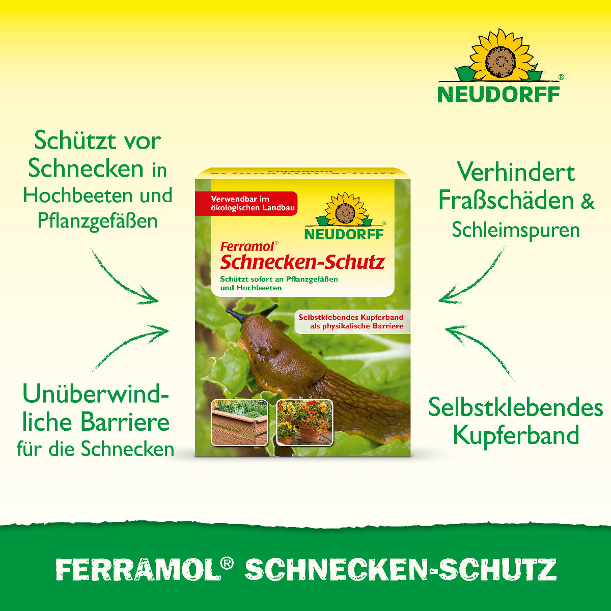 Ferramol Schnecken- Schutz ist ein selbstklebendes Kupferband, das eine unüberwindliche Barriere gegen Schnecken bildet und Fraßschäden sowie Schleimspuren an Pflanzen verhindert