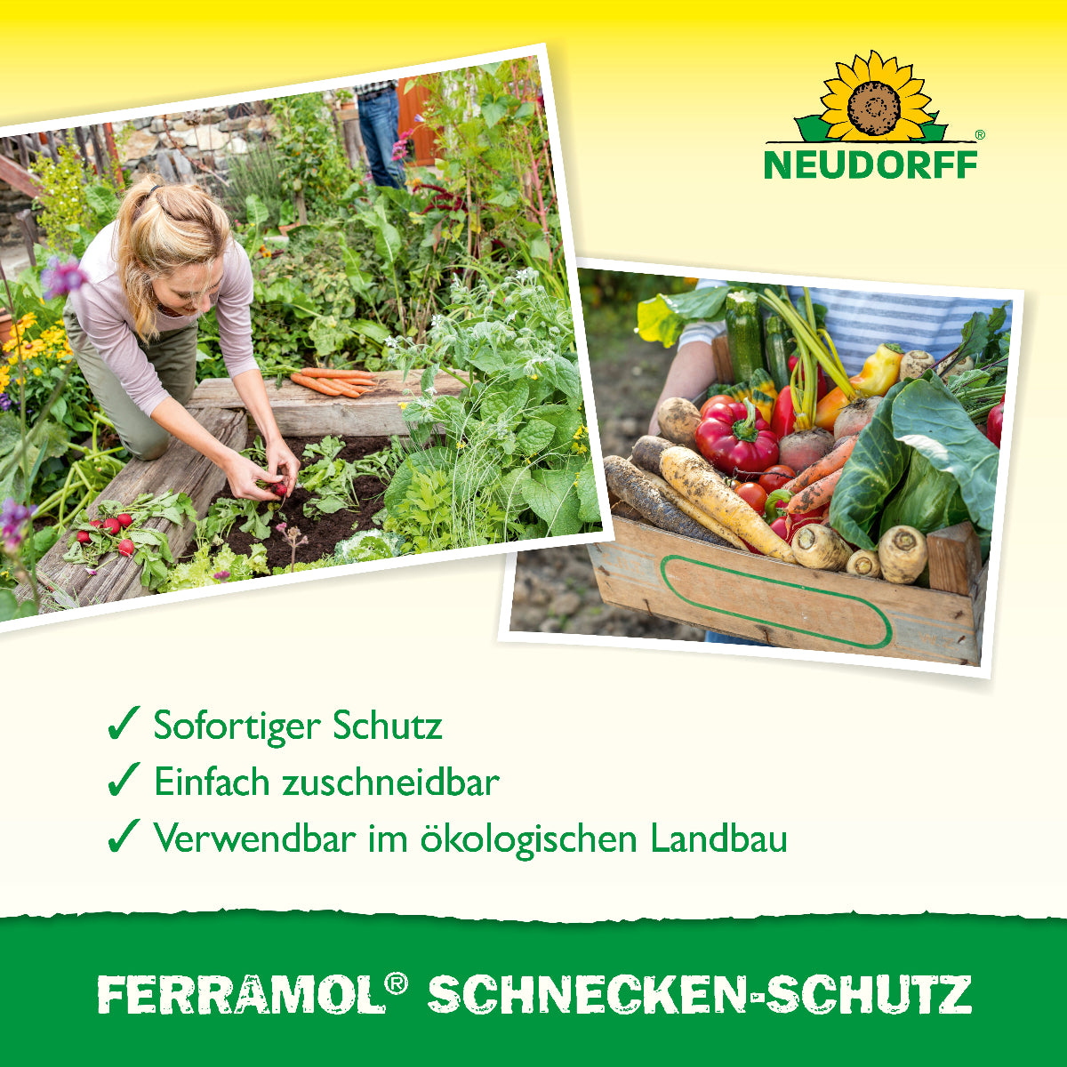 Ferramol Schnecken-Schutz ist ein selbstklebendes Kupferband, welches Hochbeete sofort und auf natürlich Weise vor Schnecken schützt und für den ökologischen Landbau geeignet ist