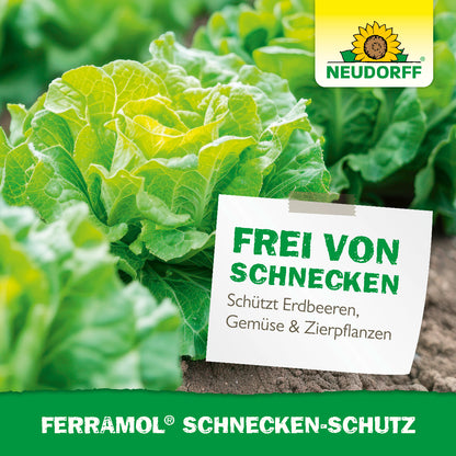 Fraßschäden von Schnecken im Garten? Erdbeeren, Gemüse und Zierpflanzen bleiben dank Ferramol Schnecken-Schutz vor Schnecken und Fraßschäden geschützt