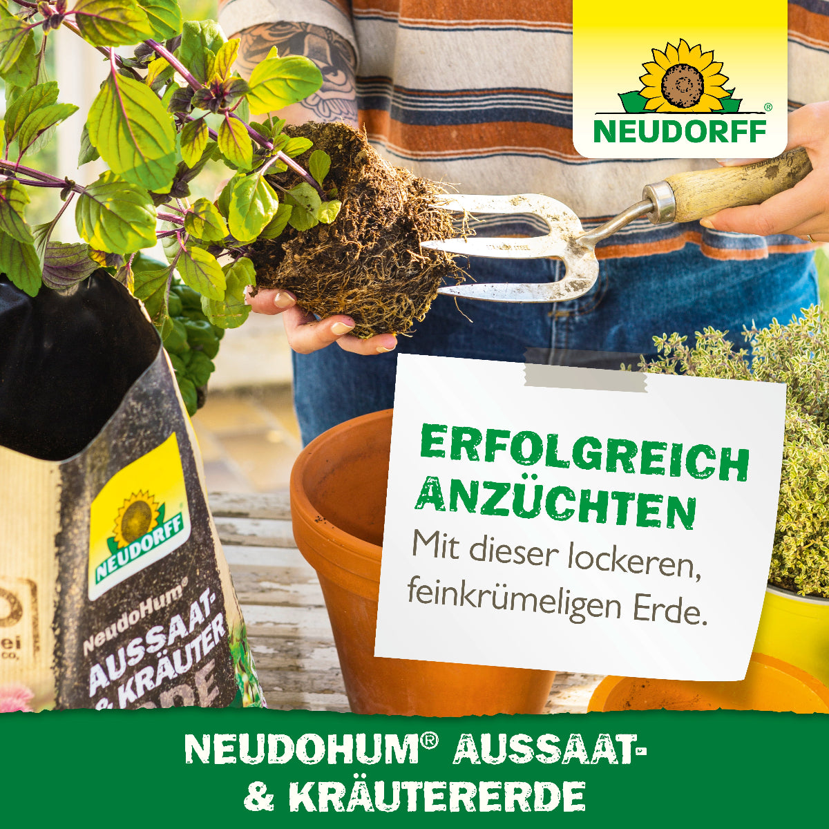 Erfolgreich anzüchten mit der feinkrümeligen NEUDOHUM Aussaat- und Kräutererde von Neudorff